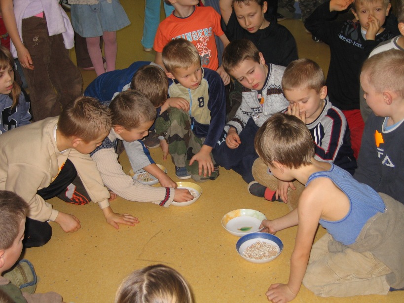 Kliknij, aby powiększyć